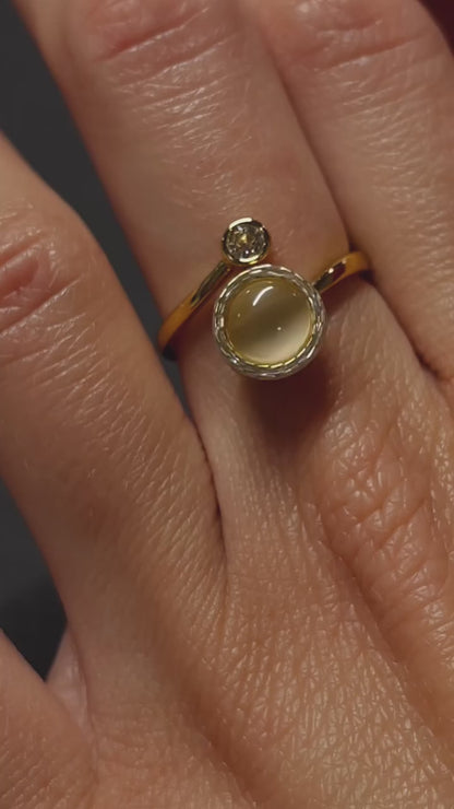 The Lunar Ring